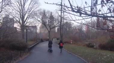 Central Park 'ta Yürüyen İnsanlar - Sağdan Sola Kayan