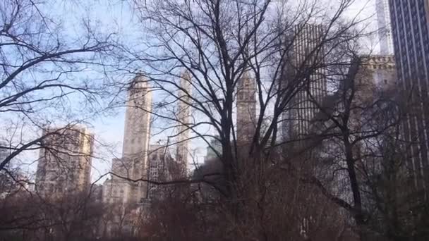 Städtische Gebäude Hinter Trockenen Bäumen Von Rechts Nach Links — Stockvideo