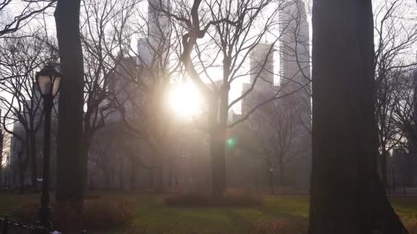 Sluneční Paprsek Svítí Budovami Stromy Města Statické Záběry — Stock video
