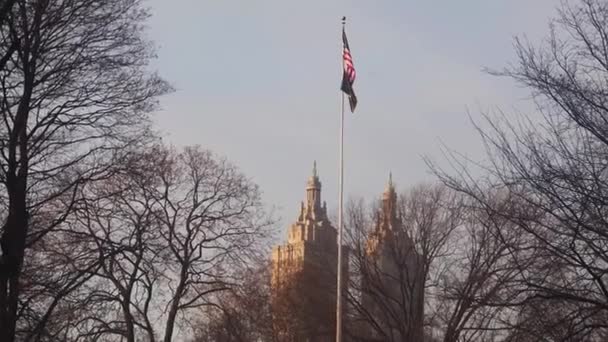 Amerykańska Flaga Między Drzewami Czarnym Świetle Przed Budynkiem Filmik Statyczny — Wideo stockowe