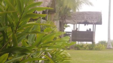 Tahta bungalovun önündeki Rüzgarda Bitkiler - Statik