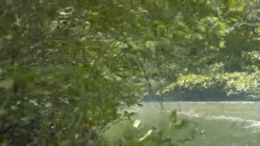 Flora yakınlarındaki Su Kaynağından Geçen Tekne - İleri Kaydır Görüntüsü