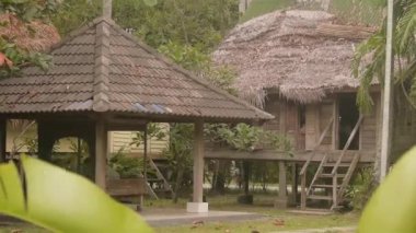 Bungalovların Önünde Rüzgarda Yeşil Yapraklar Parazit ve Odaklanma