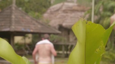 Yeşil Yapraklar Rüzgarın Önünde Bungalovların ve Yürüyen Adamın Durağan ve Odaklanmış