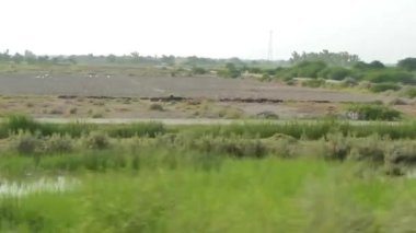 Flora 'nın İnsanların Yakınındaki Tarlalardan Geçerken Soldan Sağa Kaydır