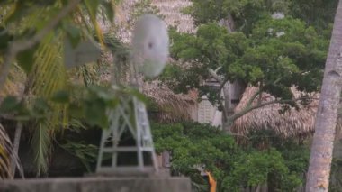 Flora Çevreleyen Rüzgar Aracı Bungalovlar Yakınında - Statik