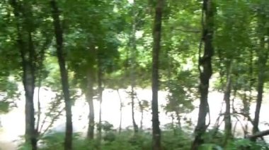 Çevresi Yeşil Flora ile çevrili. Soldan Sağa Görüntü