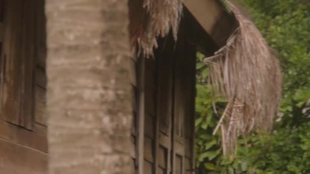 Drewniany Bungalow Frontage Słomkowy Dach Nagranie Lewej Prawej — Wideo stockowe