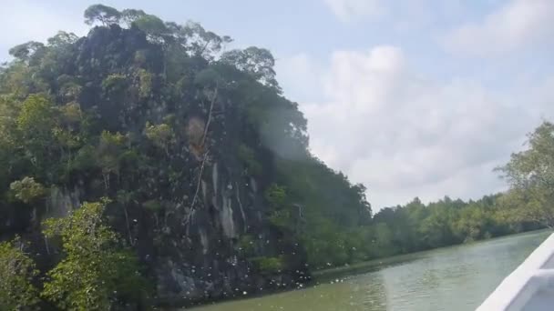 Barco Que Vai Rápido Fonte Água Para Ilha Com Flora — Vídeo de Stock