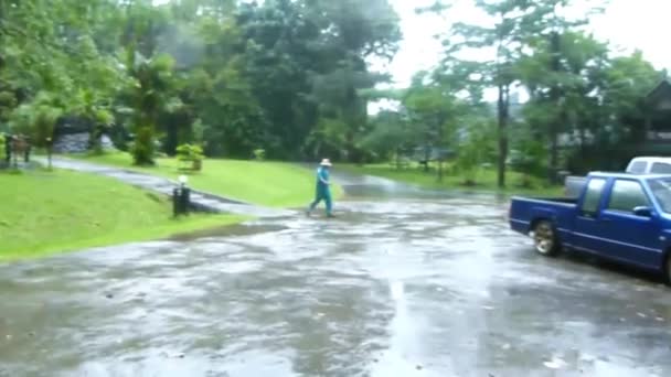 Férfi Sétál Parkolóban Flora Közelében Eső Alatt Balról Jobbra Felvétel — Stock videók