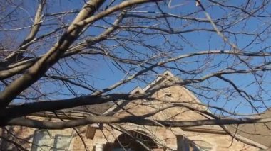 Evin Önündeki Kuru Ağaç Dalları - Eğik - Aşağı Çekim