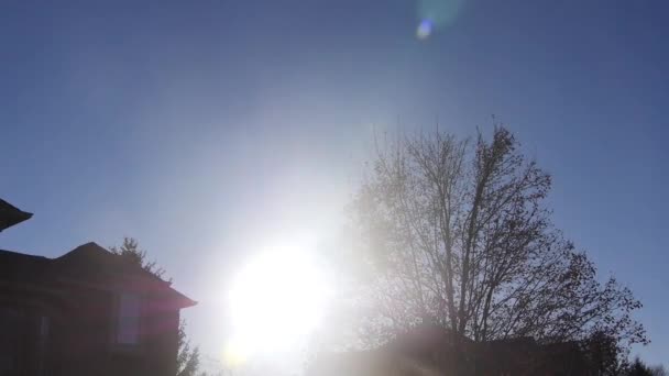 Güneş Işınları Bahçenin Ağacın Üzerinde Parlıyor Aşağı Doğru Eğiliyor — Stok video