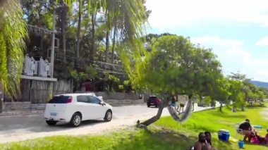 Yolun kenarındaki otlara bir dron kondurmanın ön görüntüsü