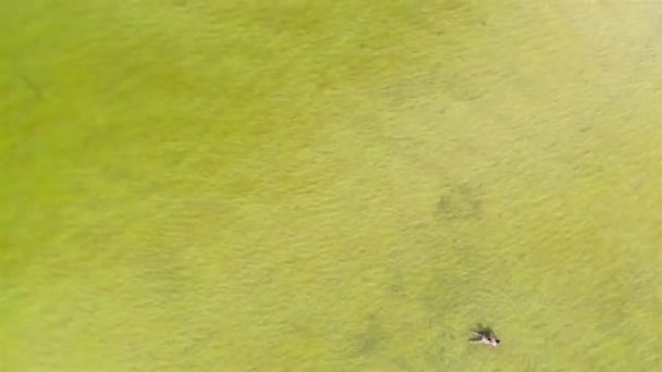 Vista Aérea Superior Pessoas Que Refrigeram Lago Cristalino Limpo Floripa — Vídeo de Stock