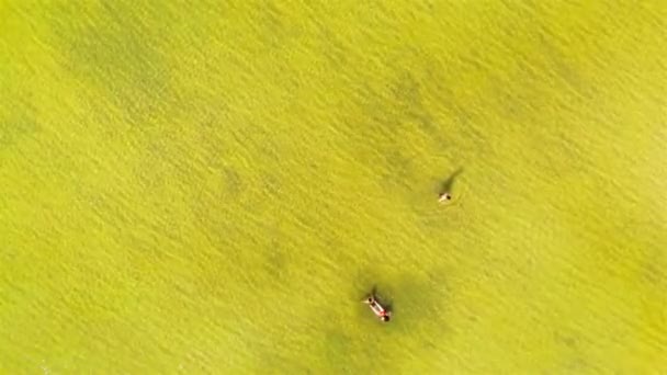 Widok Lotu Ptaka Ludzi Chłodzących Się Krystalicznie Czystym Jeziorze Florydzie — Wideo stockowe