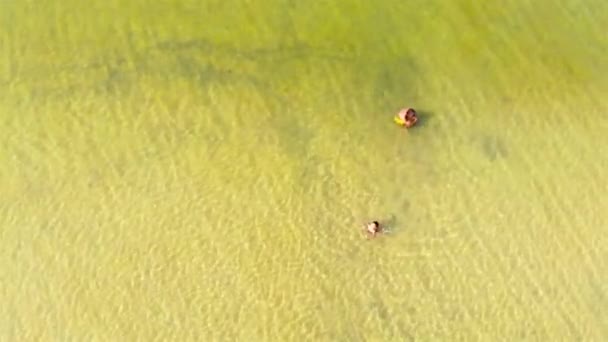 Vista Superior Personas Que Relajan Agua Tranquila Lago Verde — Vídeos de Stock