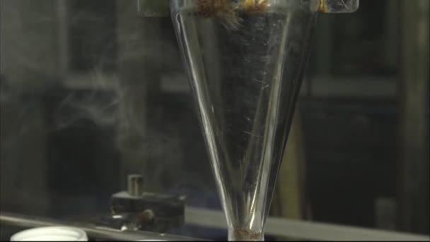 Bir Şişeyi Bir Makineyle Doldurma Süreci Statik Uyumlu — Stok video