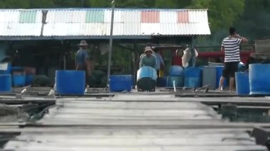 Adam bir varil arabasını itiyor - statik