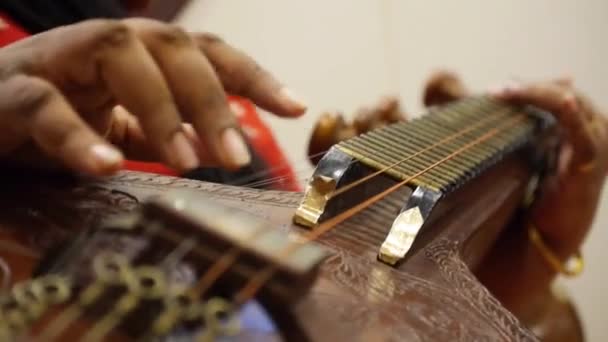 Hände Spielen Auf Der Saite Des Instruments Gleiten Direkt Aus — Stockvideo