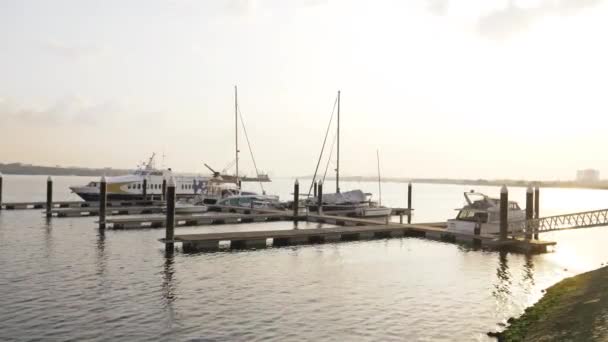 日照美丽的小码头 — 图库视频影像