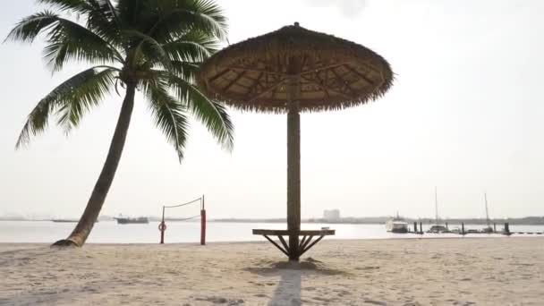 Banco Playa Tradicional Cerca Cocotero Forwards Filmación — Vídeo de stock