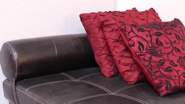 Черный Кожаный Диван Красными Шелковыми Подушками Средний — стоковое видео
