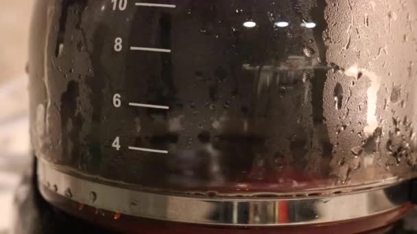 Coffee Machine Brewing Grounded Coffee Beans Close — Video