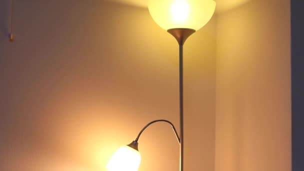 Lit Standing Lamp Corner Room Medium — Stock Video