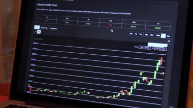 LTC 1 year Candle Stick Charts on a Laptop