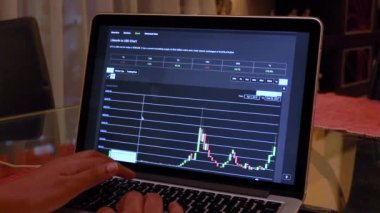 Litecoin Mum Yapıştırıcı Grafikleri 'ne dizüstü bilgisayarda giren kadınlar
