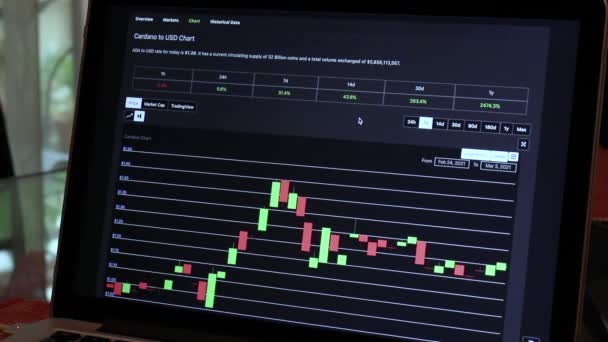 Ada Days Candle Stick Charts Laptop — Stock Video