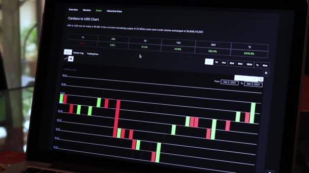 Ada Hours Candle Stick Charts Laptop — Stock Video