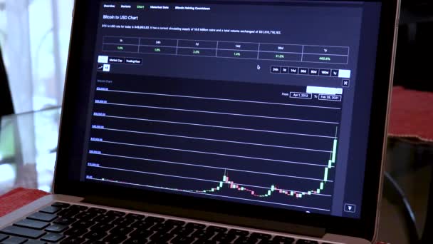 Bitcoin Candle Stick Charts Een Laptop — Stockvideo