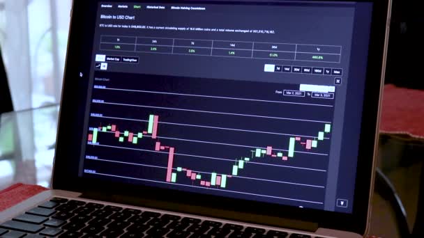 Btc Hours Candle Stick Charts Laptop — Stock Video