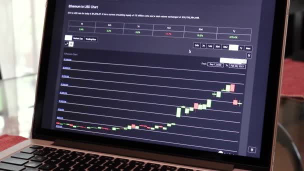 Eth Months Candle Stick Charts Laptop — Stock video