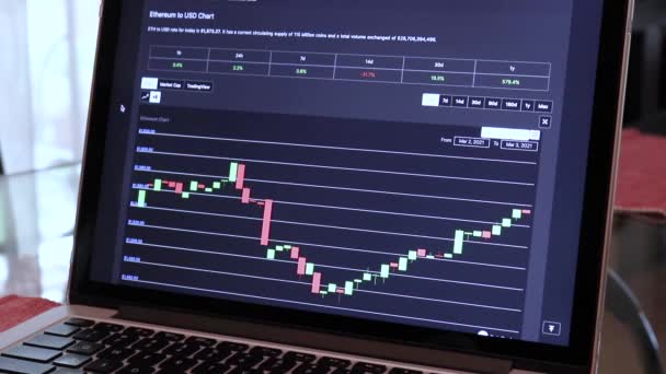 Eth Hours Candle Stick Charts Laptop — Stok video