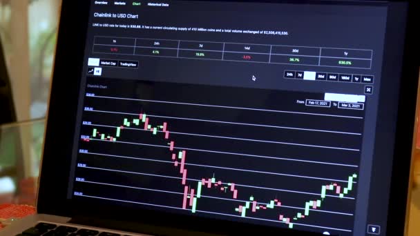 Link Days Candle Stick Charts Laptop — Stock Video