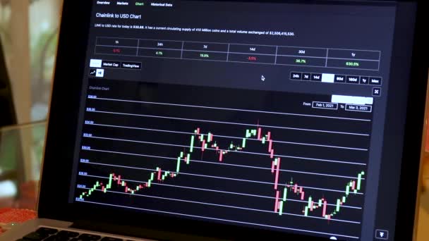Link Days Candle Stick Charts Laptop — Stockvideo