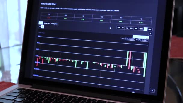 Tether Year Candle Stick Charts Laptop — Stok Video