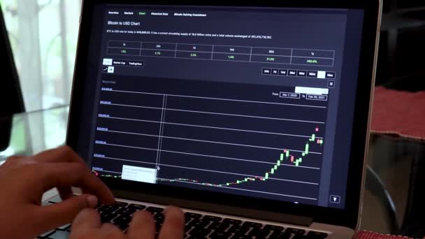 Women Going Bitcoin Year Candle Stick Charts Laptop — Stock Video