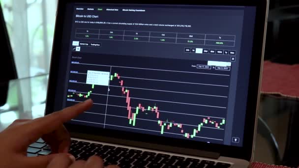 Kobiety Przechodzą Przez Btc Bitcoin Dni Świeca Stick Wykresy Laptopie — Wideo stockowe
