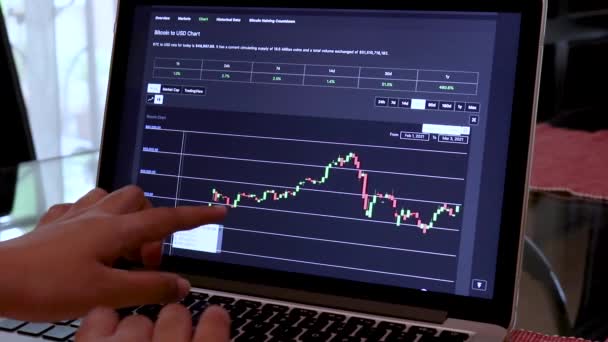 Perempuan Yang Melalui Btc Bitcoin Hari Candle Stick Charts Laptop — Stok Video