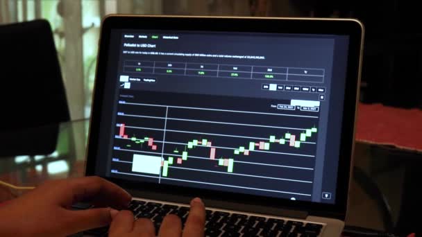 Women Going Dot Days Candle Stick Charts Laptop — Stock Video