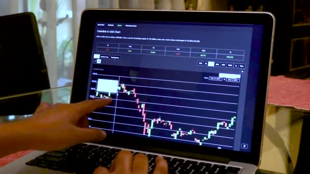 Women Going Link Days Candle Stick Charts Laptop — Stock Video