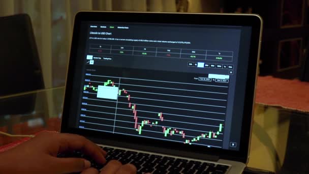Women Going Ltc Days Candle Stick Charts Laptop — Stock Video