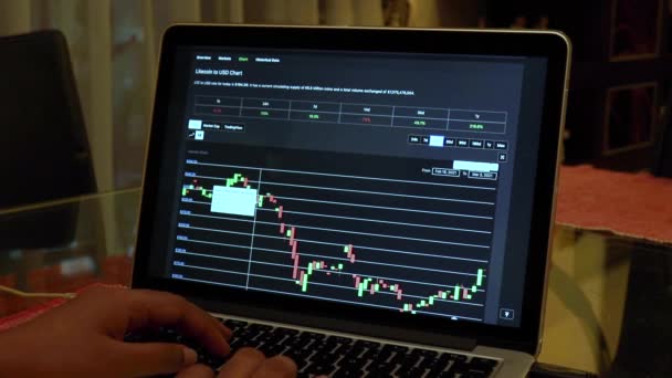 Frauen Durchlaufen Ltc Tage Candle Stick Charts Auf Einem Laptop — Stockvideo