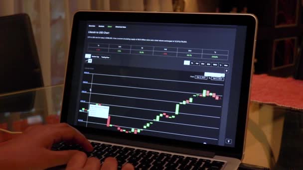 Women Going Ltc Hours Candle Stick Charts Laptop — Stock Video
