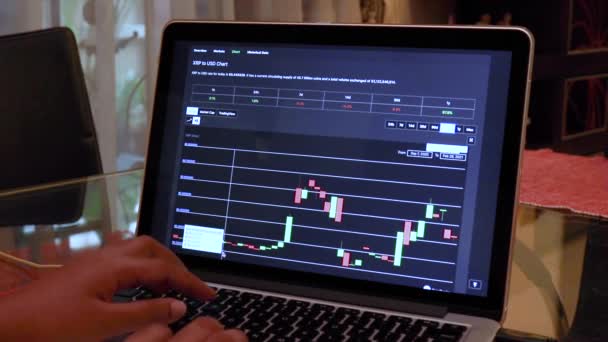 Kadınlar Dizüstü Bilgisayarlarında 180 Gün Candle Stick Çizelgelerine Bakıyorlar — Stok video