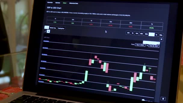 Xrp 180 Days Candle Stick Charts Laptop — Stok Video