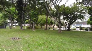 Evlerin yakınındaki parktaki yeşil ağaçların güzel manzarası. Geriye doğru hareket ediyor.